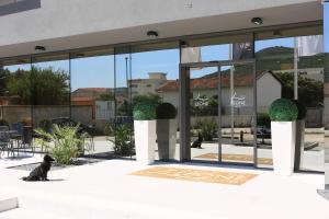 hotel leone