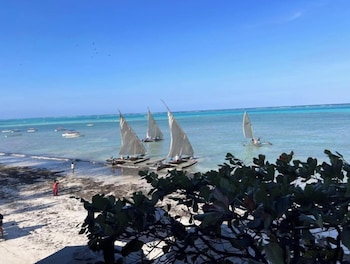 the view of zanzibar