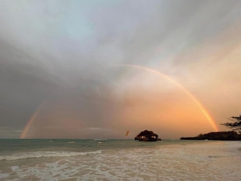 the view of zanzibar