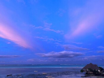 the view of zanzibar