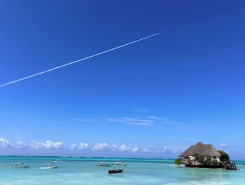the view of zanzibar