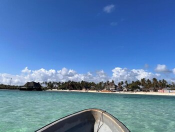 the view of zanzibar