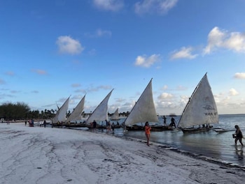 the view of zanzibar