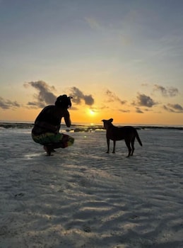 the view of zanzibar