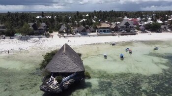 the view of zanzibar