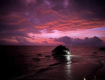 the view of zanzibar