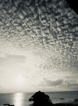 the view of zanzibar