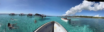 the view of zanzibar