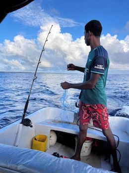 the view of zanzibar