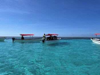 the view of zanzibar
