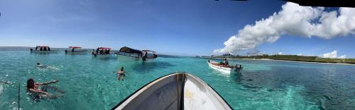 the view of zanzibar