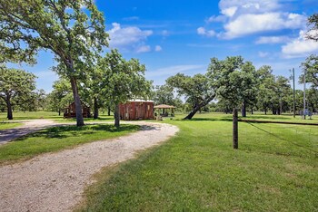 cabins out back nest