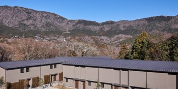 rakuten stay villa hakone gora