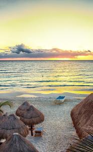 playa canek beachfront eco hotel