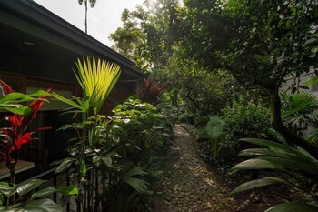 candelaria aparta hotel boutique