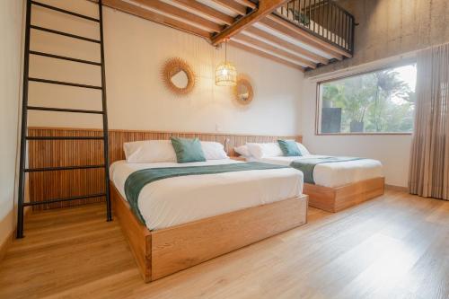 candelaria aparta hotel boutique