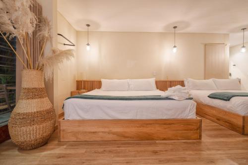 candelaria aparta hotel boutique
