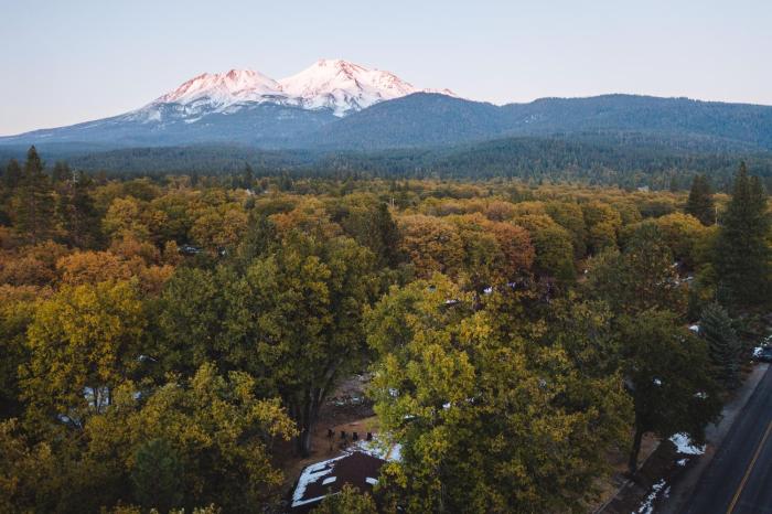 basecamp lodge