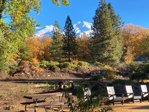 mount shasta