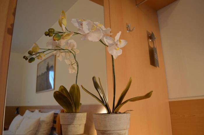 hotel donaustadt kagran