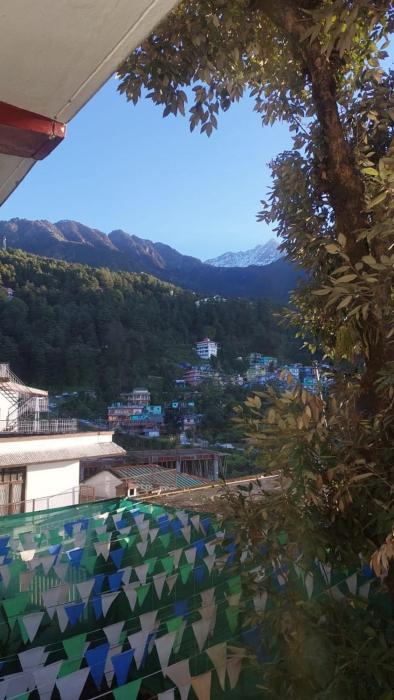 hotel freedom palace