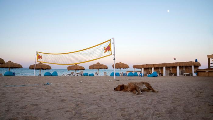 arena beach resort