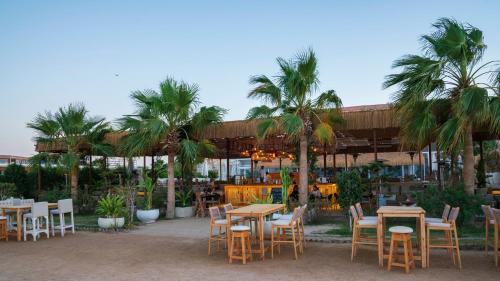 arena beach resort