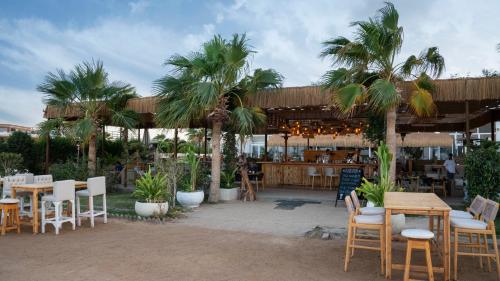 arena beach resort