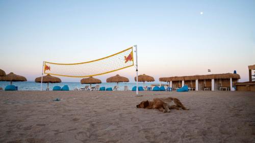 arena beach resort