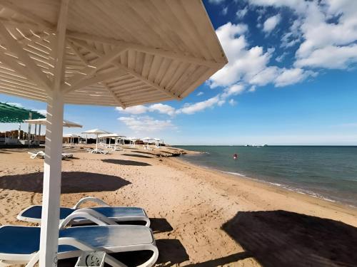 arena beach resort