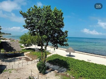 mafia island