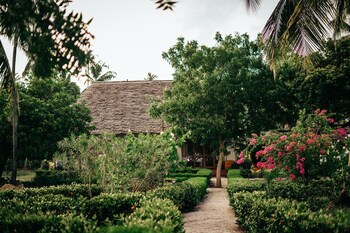 mafia island