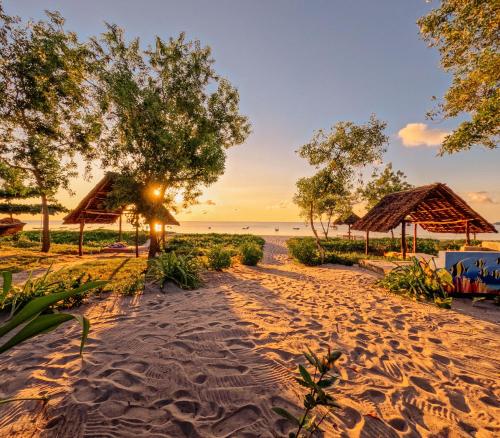 maisara mafia beach lodge