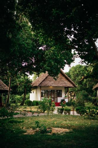 maisara mafia beach lodge