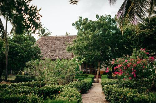 maisara mafia beach lodge