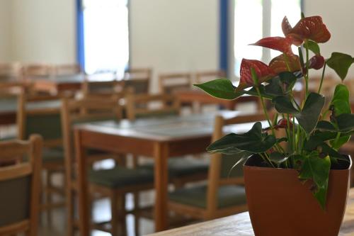 quinta das aguas by summit hotels