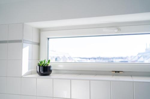 bright apartment near central station