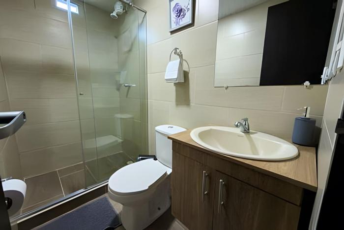 amplio y lujoso apartasuite en el centro