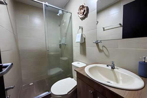 amplio y lujoso apartasuite en el centro