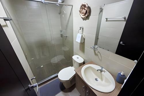 amplio y lujoso apartasuite en el centro