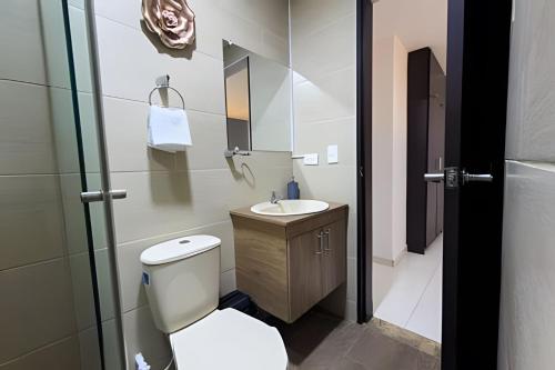 amplio y lujoso apartasuite en el centro