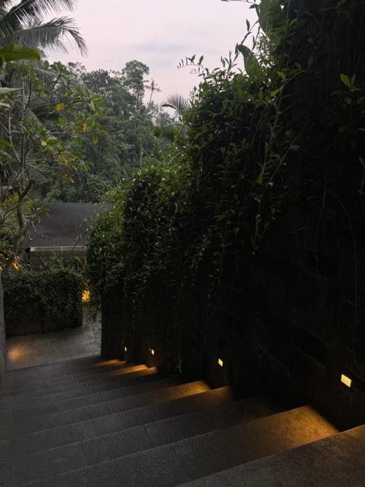 the clifton villas ubud