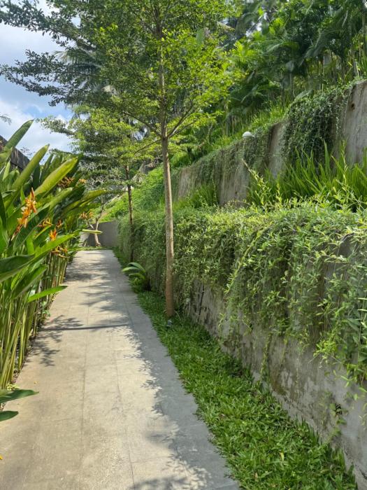 the clifton villas ubud