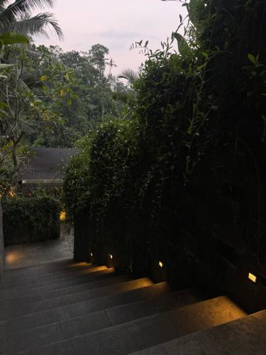 the clifton villas ubud