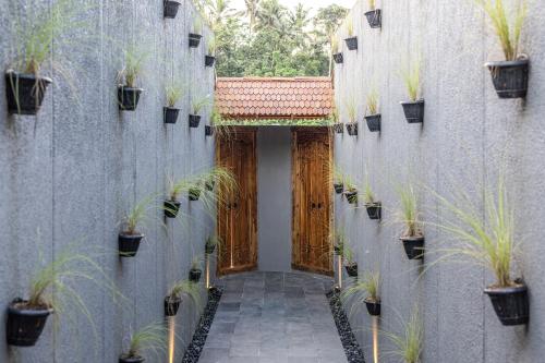 the clifton villas ubud