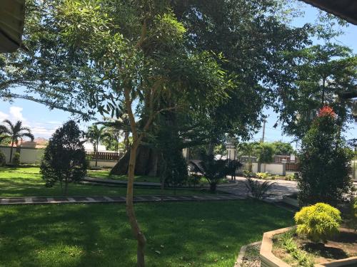 pohon purba resort and restaurant