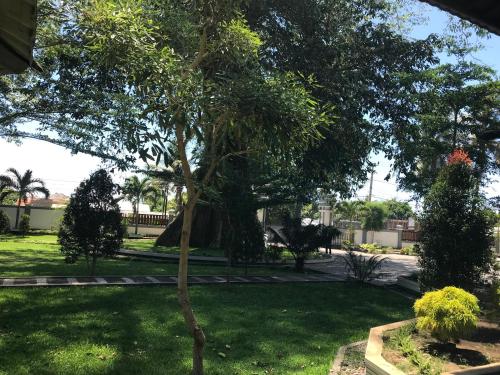 pohon purba resort and restaurant