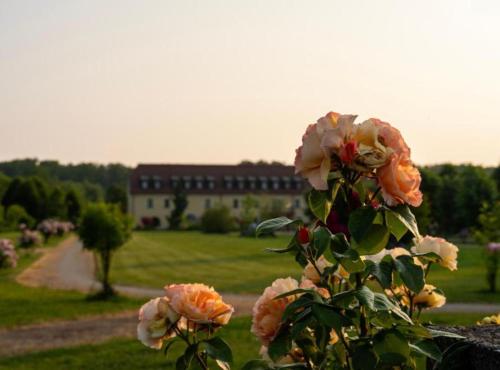 jurjevec castle