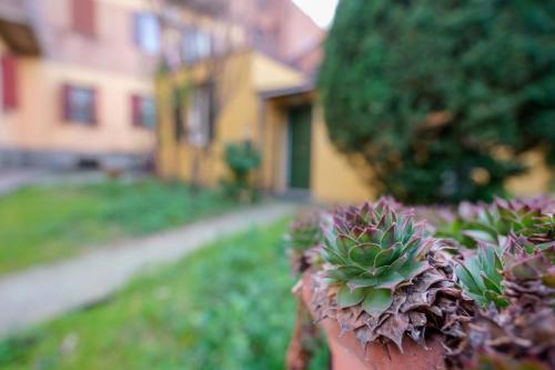 cavaticcio apartment