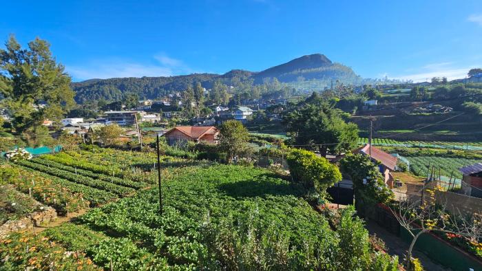 aurora residence nuwara